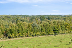 Stenvad Bygade 29, Stenvad, 8586 Ørum Djurs