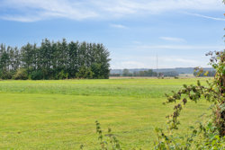Bjerrevej 336, Bjerre, 8783 Hornsyld