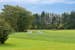 Bjerrevej 336, Bjerre, 8783 Hornsyld