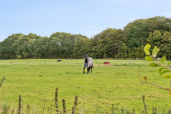 Nørrelundvej 10, 8620 Kjellerup