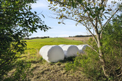 Kirkedalsvej 97, Kirkedal, 9690 Fjerritslev
