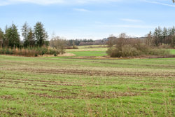 Langmosevej 4, 9750 Østervrå