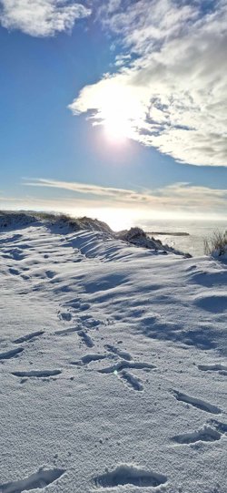 Mollerupvej 32, Trans, 7620 Lemvig