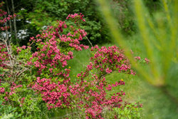 Birkevej 61, Fuglslev, 8400 Ebeltoft