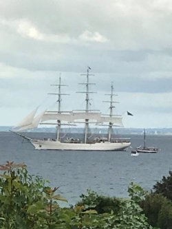 Birkemosevej 3, Ørby, 8420 Knebel