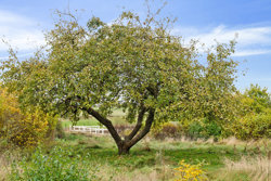 Liltvedvej 34, Liltved, 8963 Auning