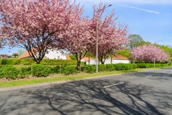 Nørreskovgårdsvej 3, Bramdrupdam, 6000 Kolding