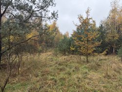 Ahornvej 6, Fuglslev, 8400 Ebeltoft