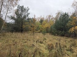 Ahornvej 6, Fuglslev, 8400 Ebeltoft