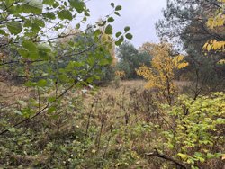 Ahornvej 6, Fuglslev, 8400 Ebeltoft