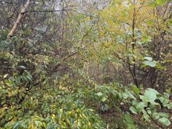 Ahornvej 6, Fuglslev, 8400 Ebeltoft