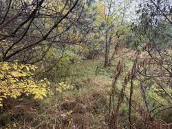 Ahornvej 6, Fuglslev, 8400 Ebeltoft