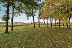 Pederstrupvej 32, Pederstrup, 8620 Kjellerup