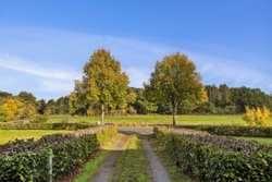 Hadstenvej 6, Laurbjerg, 8870 Langå