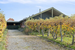 Spurvevej 11, 8450 Hammel
