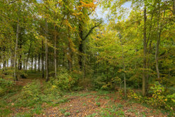 Kelstrupvej 57, Kelstrup Strand, 6100 Haderslev