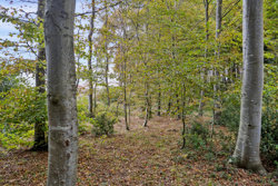 Kelstrupvej 57, Kelstrup Strand, 6100 Haderslev