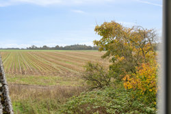 Forten 33, Vellev, 8860 Ulstrup