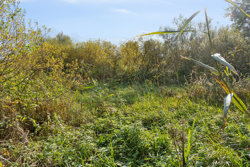 Mossøvej 9C, 8660 Skanderborg