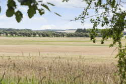 Rettrup Kærvej 1, Rettrup, 7860 Spøttrup