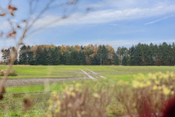 Hyllestedvej 19, Hyllested, 4261 Dalmose