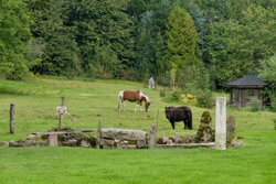 Døstrupvej 140, Døstrup, 9500 Hobro