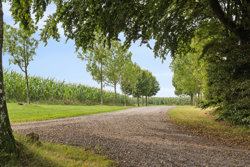 Døstrupvej 140, Døstrup, 9500 Hobro