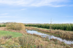 Torndalsvej 1, Hjerritsdal, 9500 Hobro