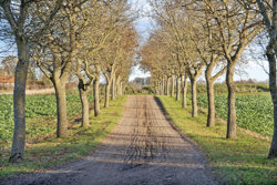 Bjaruphøjvej 5, 8600 Silkeborg