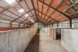 Spedsbjergvej 81, Spedsbjerg, 5491 Blommenslyst