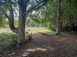 Hovedvejen 53, 8586 Ørum Djurs