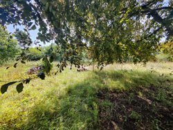 Hovedvejen 53, 8586 Ørum Djurs