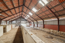 Spedsbjergvej 81, Spedsbjerg, 5491 Blommenslyst