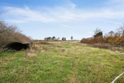 Spedsbjergvej 81, Spedsbjerg, 5491 Blommenslyst