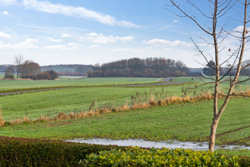 Oudrupgårdsvej 14, Gangsted, 8732 Hovedgård