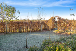 Nybakken 91, 8752 Østbirk