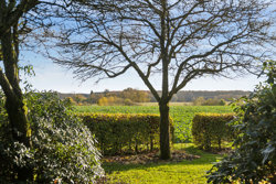 Enslevvej 45, Enslev, 8881 Thorsø