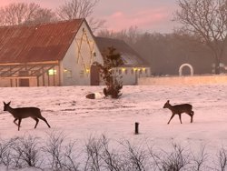 Egholm 53, 9000 Aalborg