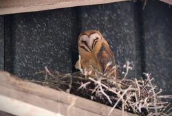 Egholm 53, 9000 Aalborg