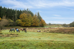 Præstevænget 141, 7280 Sønder Felding