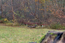 Korsikanerskoven 50, Helberskov, 9560 Hadsund