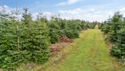 Hadsundvej 64, Vester Korup, 9575 Terndrup