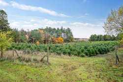 Hadsundvej 64, Vester Korup, 9575 Terndrup