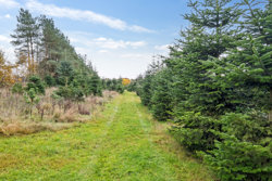 Hadsundvej 64, Vester Korup, 9575 Terndrup