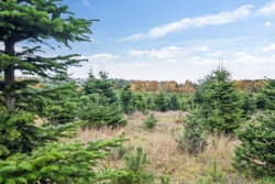 Hadsundvej 64, Vester Korup, 9575 Terndrup