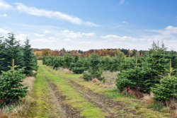 Hadsundvej 64, Vester Korup, 9575 Terndrup