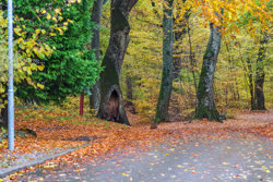 Skovvej 6, 9575 Terndrup