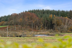 Voldbyholt 17, 8450 Hammel