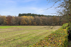 Voldbyholt 17, 8450 Hammel