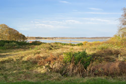 Møllekrogen 3, Dommerby, 7800 Skive